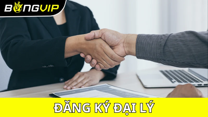 Các bước đăng ký trở thành đại lý Bongvip
