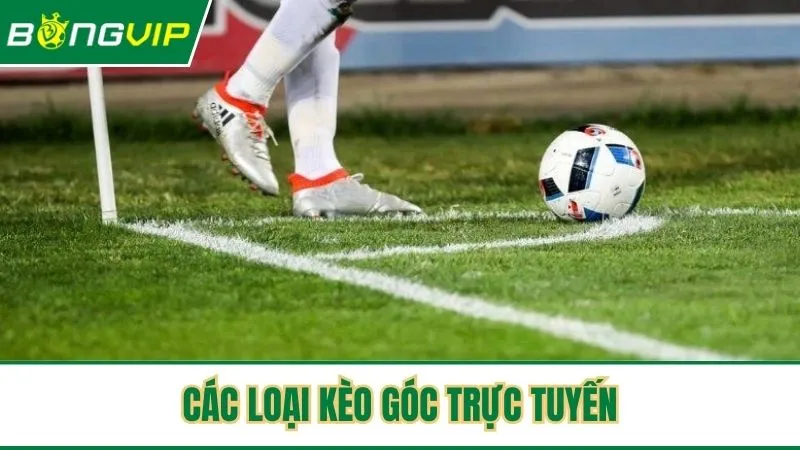 Các loại kèo góc phổ biến trong cá độ bóng online