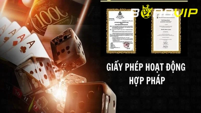 Hoạt động được cấp phép bởi tổ chức uy tín