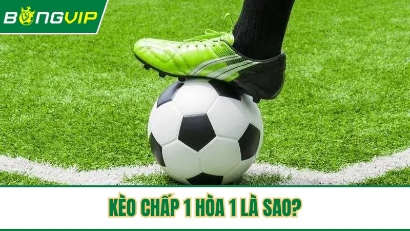 Kèo chấp 1 hòa 1 là sao trong cá độ bóng đá
