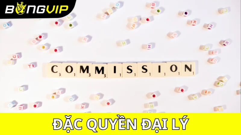 Những đặc quyền khi trở thành đại lý Bongvip