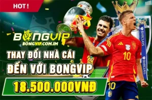 Thay đổi nhà cái đến với Bongvip