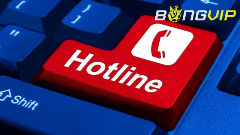 Hỗ trợ trực tiếp thông qua hotline chính thức