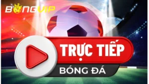 ColaTV Trực Tiếp Bóng Đá - Đánh Giá Chi Tiết Cho Người Mới