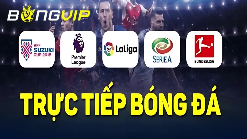 Socolive 11 TV và BongVip đều là kênh trực tiếp bóng đá được ưa chuộng