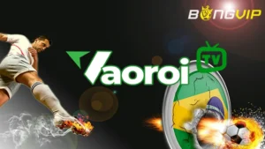 Vaoroi TV Live là chuyên trang trực tiếp bóng đá