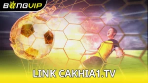 Link cakhia1.tv - Điểm hẹn miễn phí cho fan bóng đá