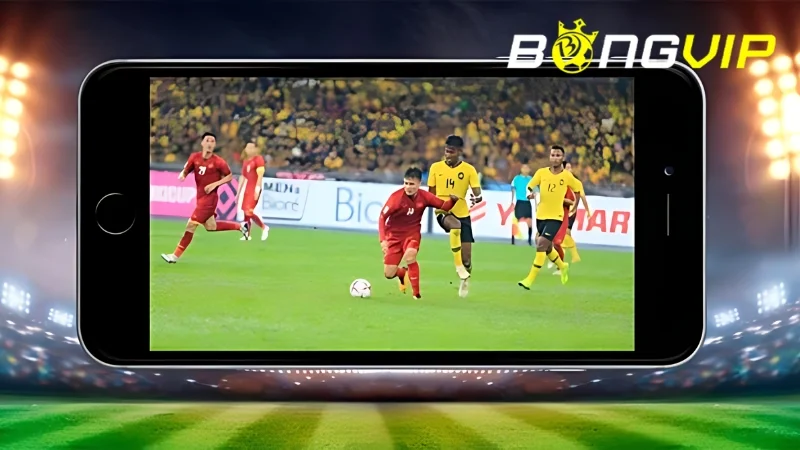 Nền tảng LuongSon TV nhận được nhiều lời khen và cả đánh giá về một số hạn chế