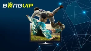 So Sánh Socolive 11 TV & BongVip