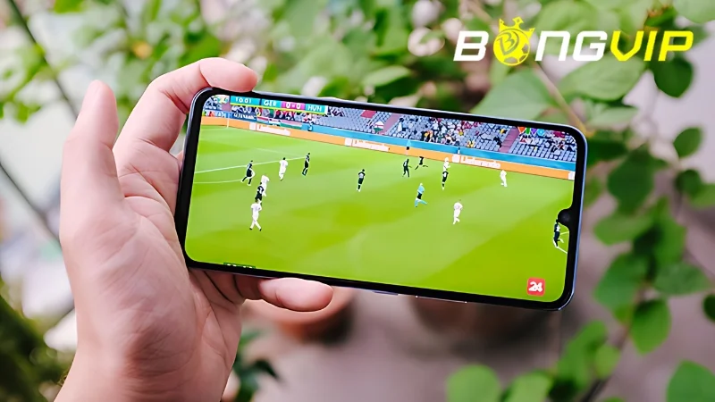 Bóng đá trực tiếp Mitom thu hút nhiều đối tượng người xem khác nhau